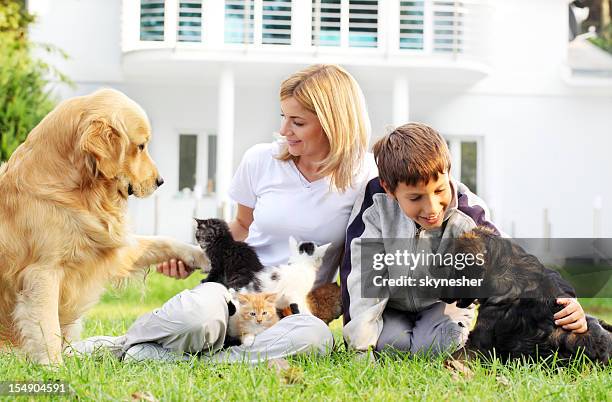 mother, son and pets. - cat spring bildbanksfoton och bilder