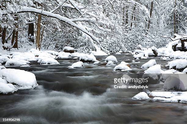 snowy appalachian mountain stream - gatlinburg stock pictures, royalty-free photos & images