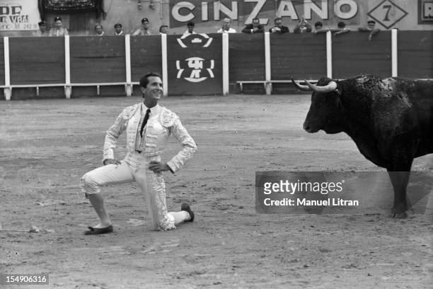 October 10 bullfighting has Eckmuhl, near Oran, the bullfighter Luis Miguel Dominguin, after having renounced to fight bulls for four years, found...