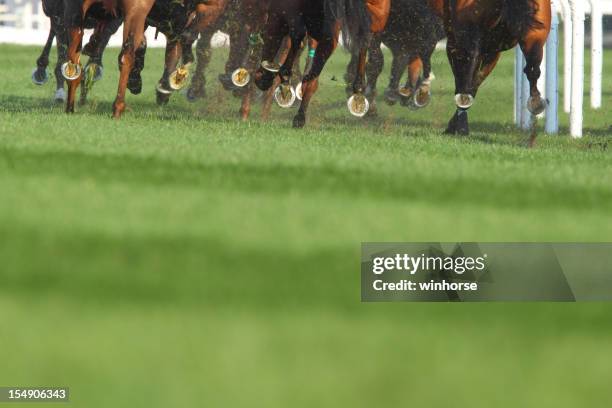 horse running - horse race winner stock pictures, royalty-free photos & images