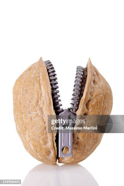 walnut zipper - nutshell stock pictures, royalty-free photos & images