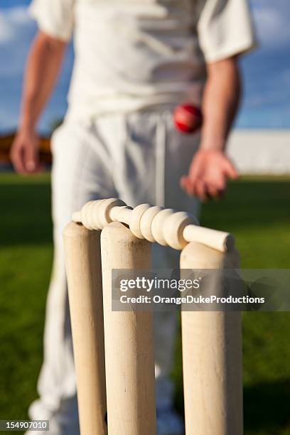 cricket stumps and player in the background - cricket wicket stock pictures, royalty-free photos & images