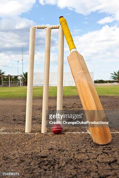 cricket wickets,ball and bat - cricket ball stockfoto's en -beelden