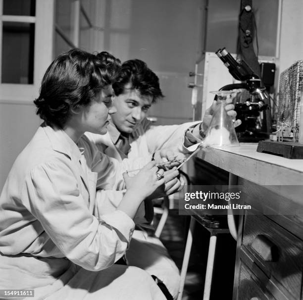 Injection Des Rats 36 Rat Injection Stock Photos, High-Res Pictures, and Images - Getty Images