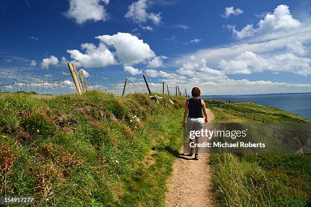 woman in grass field - st davids stock pictures, royalty-free photos & images