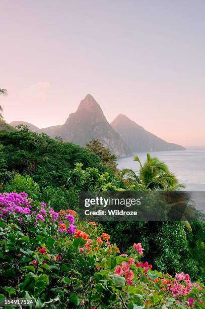 st. lucia's twin pitons at sunset - saint lucia stockfoto's en -beelden