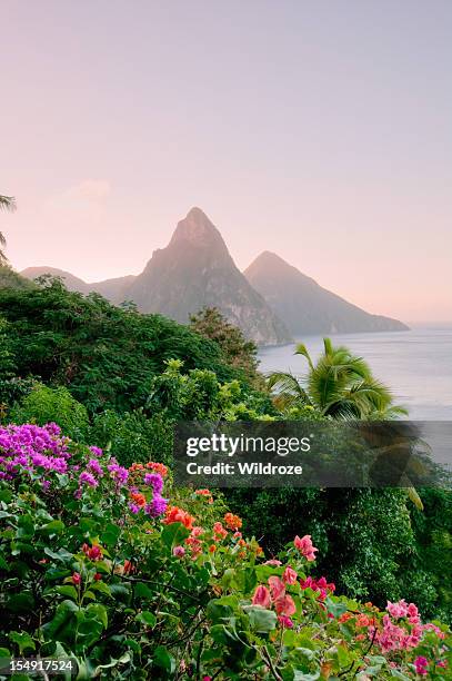 st. lucia's twin pitons at sunset - saint lucia stock pictures, royalty-free photos & images