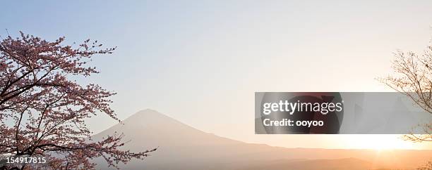 mt fuji in spring - cherry blossom japan stock pictures, royalty-free photos & images