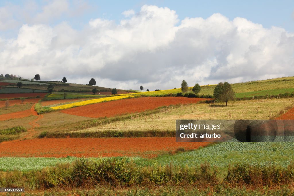 Farmland in Myanmar