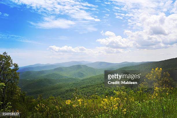 blue ridge mountains, appalachians, virginia - appalachian trail stock pictures, royalty-free photos & images