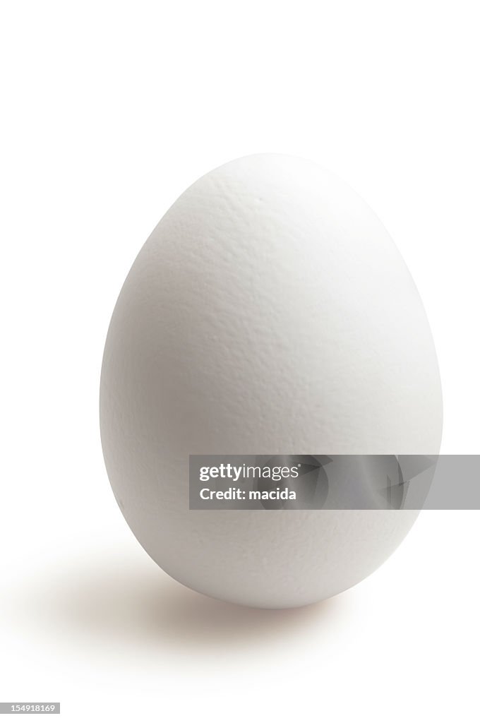 Isolated white egg in white background