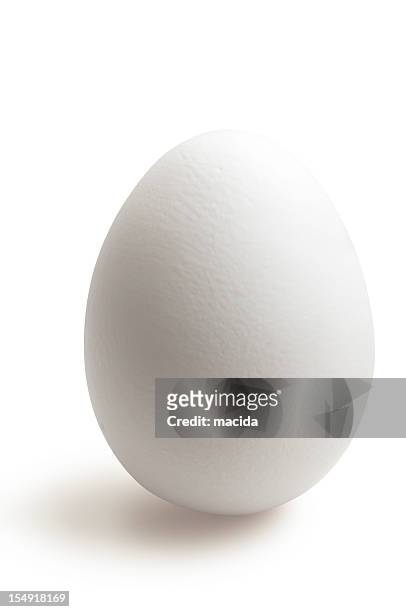 isolated white egg in white background - animal egg stock pictures, royalty-free photos & images