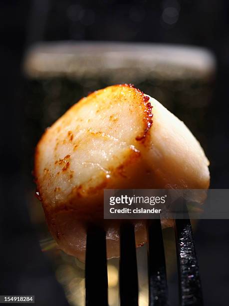seared sea scallop and champagne - seared stockfoto's en -beelden
