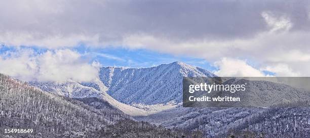 montagne fumose in inverno - parco nazionale great smoky mountains foto e immagini stock