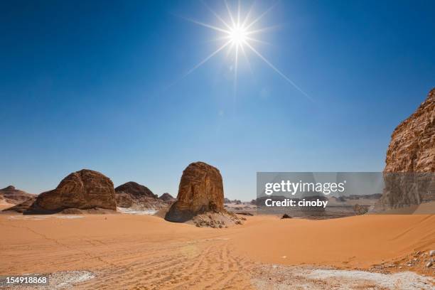 white desert sun - midday stock pictures, royalty-free photos & images