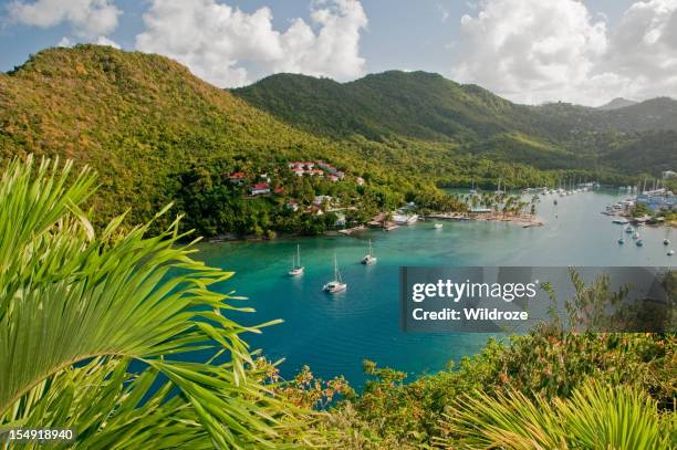 marigot bay, st. lucia - saint lucia stock pictures, royalty-free photos & images