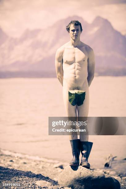 naked man covering himself with a leaf - man skinny dipping stock pictures, royalty-free photos & images