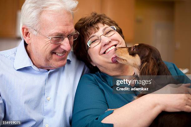 cute senior couple smiling with puppy - dog licking face stockfoto's en -beelden