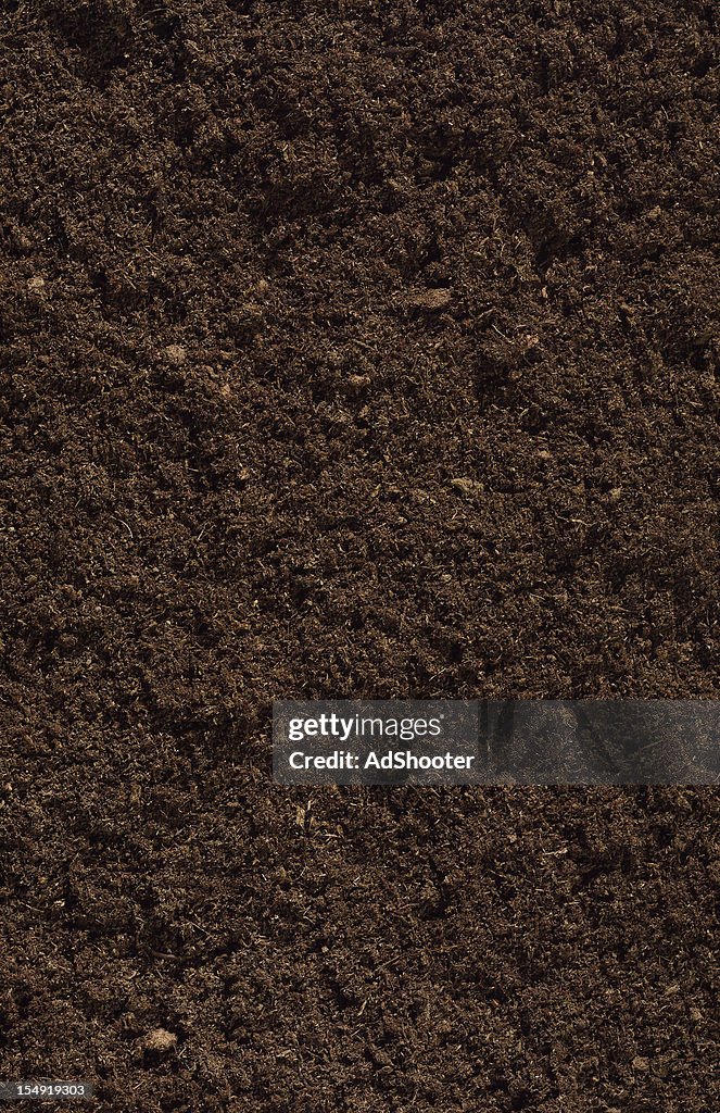 Compost Soil