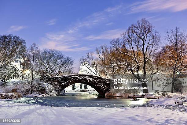 gapstow bridge - central park winter stock-fotos und bilder