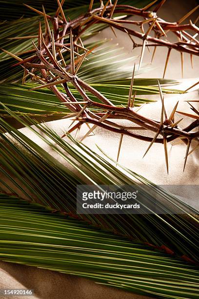 palm sunday and good friday background - palm sunday stock pictures, royalty-free photos & images