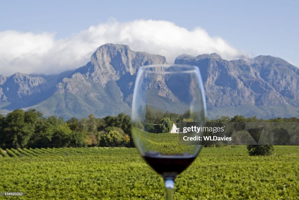 南アフリカのワインカントリー