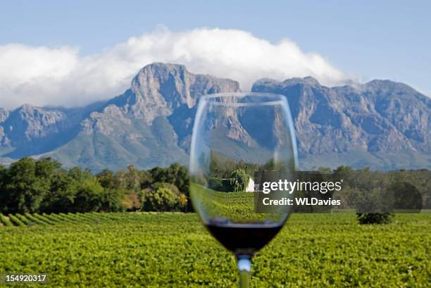 南アフリカのワインカントリー - stellenbosch ストックフォトと画像
