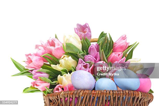 easter eggs and tulips - easter flowers stock pictures, royalty-free photos & images