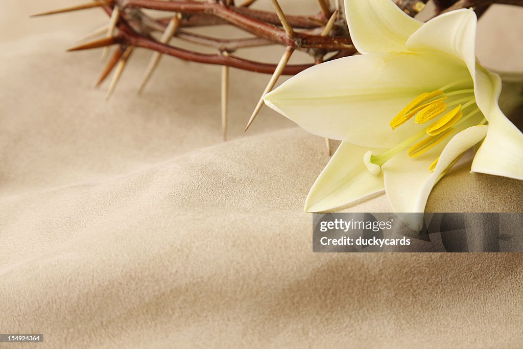 Easter Lily and Crown of Thorns