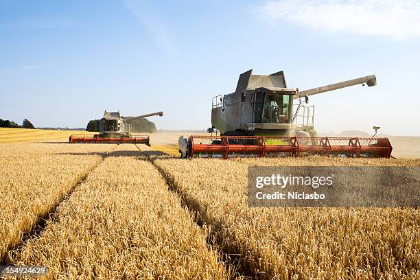 combines at work - combine harvester stockfoto's en -beelden