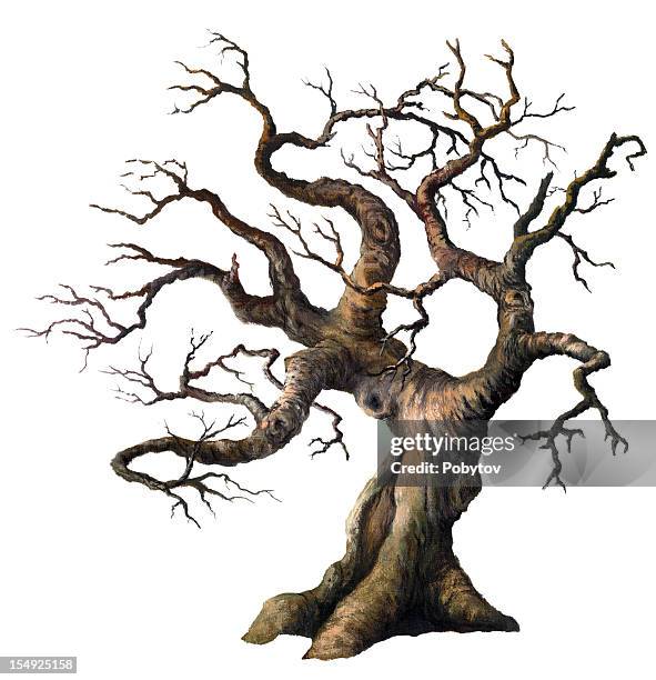 stockillustraties, clipart, cartoons en iconen met old oak - horror