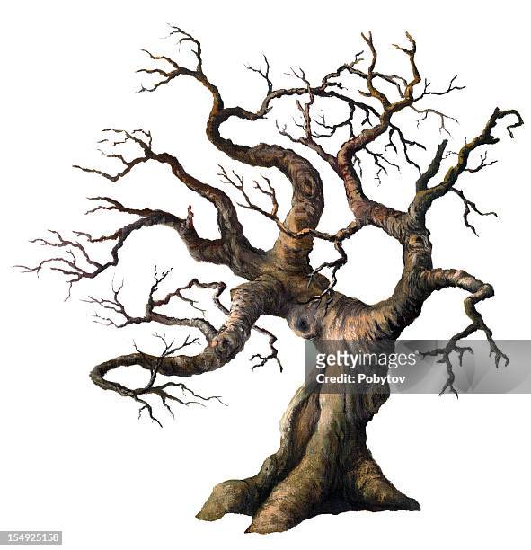 old oak - tree trunk stock illustrations