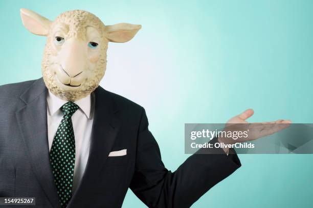 business-mann trägt sheep mask präsentieren. - sheep funny stock-fotos und bilder