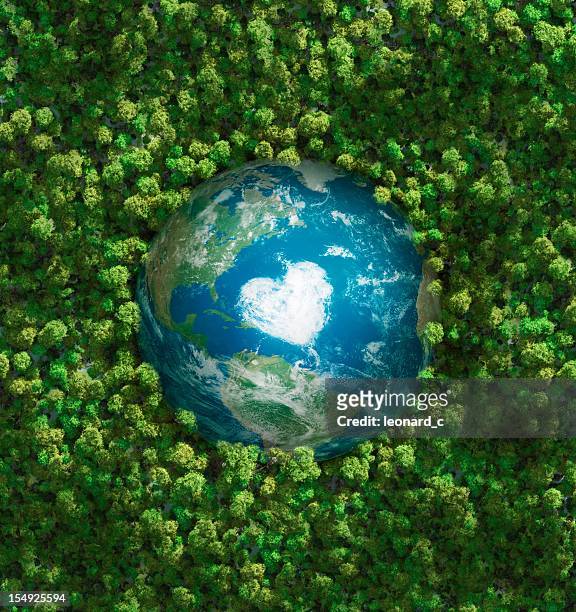 earth's heart - heart shape in nature stock pictures, royalty-free photos & images