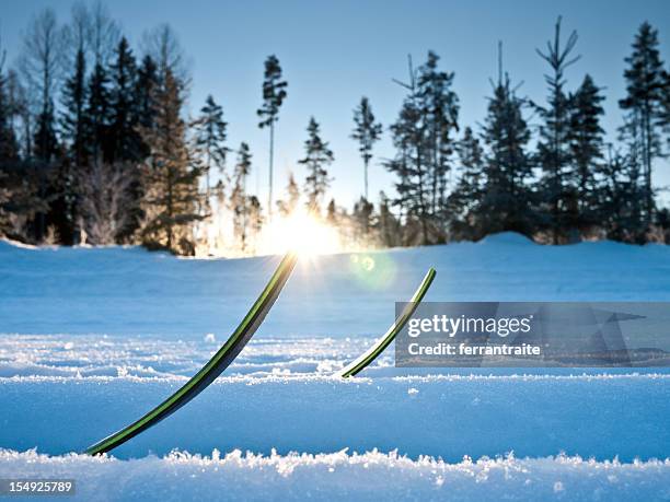 cross country ski - dalarna stock pictures, royalty-free photos & images