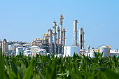 Ethanol Plant by Corn Field