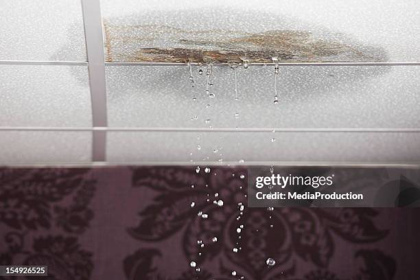 leaking ceiling - damaged house stock pictures, royalty-free photos & images