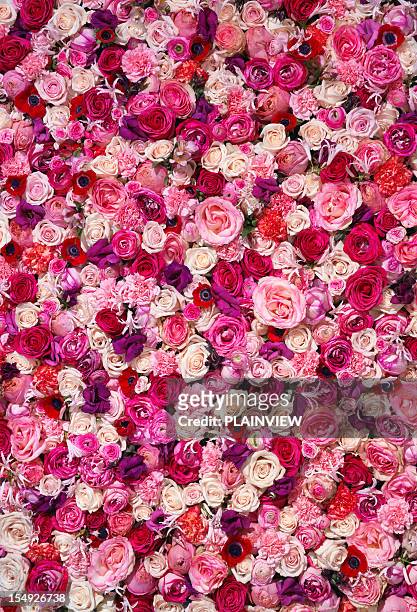 bed of flowers - pink background stockfoto's en -beelden