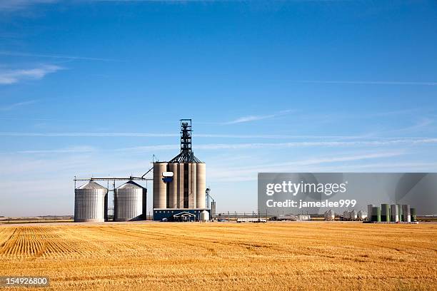 prairie elevator and grain bin in a field of wheat - saskatchewan stock pictures, royalty-free photos & images