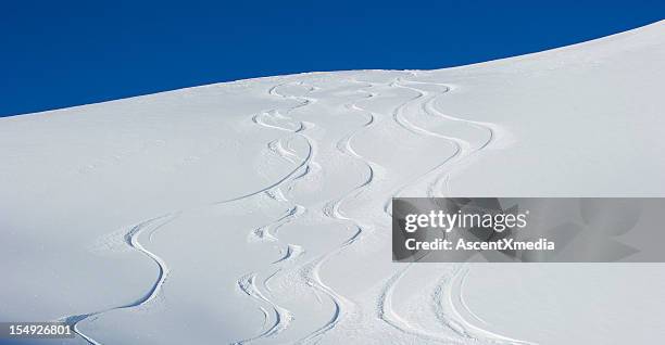 fresh lines - extreem skiën stockfoto's en -beelden