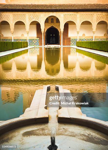 yard in nasrid palace - alhambra granada stock pictures, royalty-free photos & images