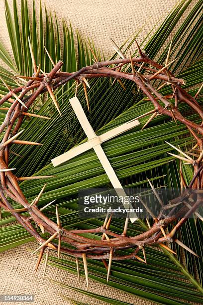 palm cross and branches with crown of thorns - palm sunday stock pictures, royalty-free photos & images
