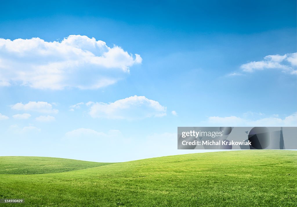 Digitale Komposition aus grünen Wiese und blauer Himmel
