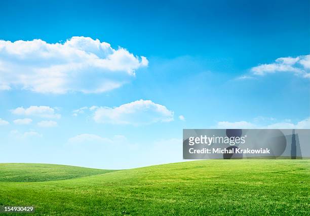 digital composition of green meadow and blue sky - horizon over land stock pictures, royalty-free photos & images