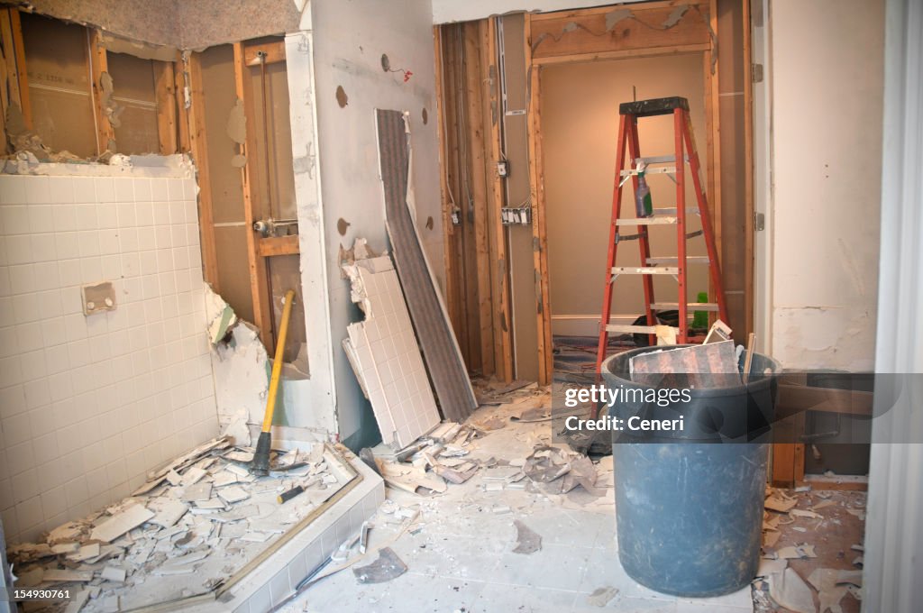 Master Bathroom Remodeling: Demolition Phase