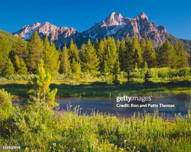 the sawtooth mountain range, stanley idaho (p) - sawtooth national recreation area stock pictures, royalty-free photos & images