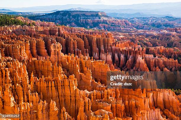 luminous clochers du parc national de bryce canyon - bryce canyon photos et images de collection