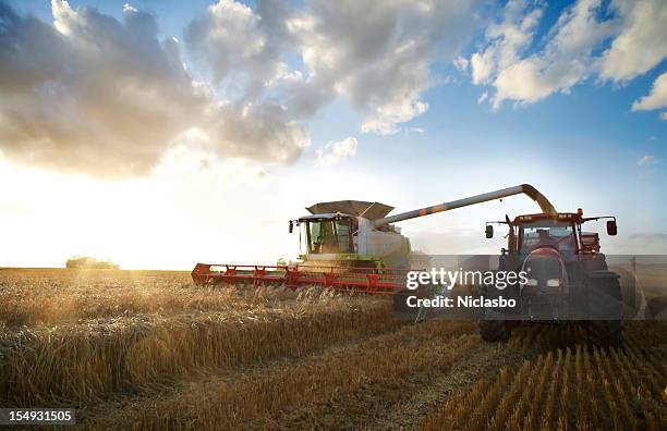 red tractor and combine - combine harvester stock pictures, royalty-free photos & images