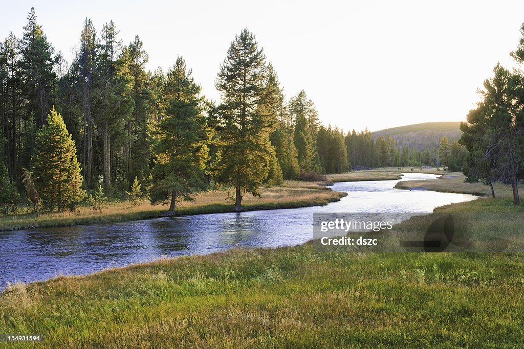 Nez Perce Creek in Yellowstone National Park at sunset