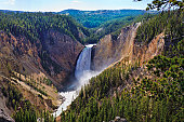 Yellowstone Falls: River, Grand Canyon, National Park, Montana MT